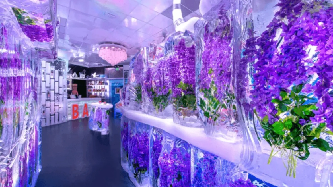Best Ice Bar Las Vegas Strip Experience: Full Visitor Guide